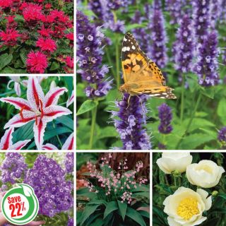 Fragrant Garden Collection Thumbnail